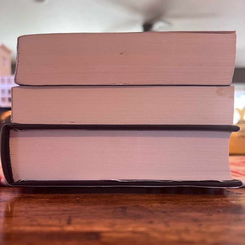 The Shadow Glass, The Haunting of Ashburn House & Storm and Fury horror fantasy - Picture 4 of 6